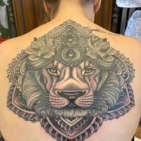 lion back